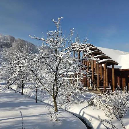 райський куточок Synewyr